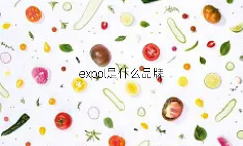 expol是什么品牌(exco是什么牌子)