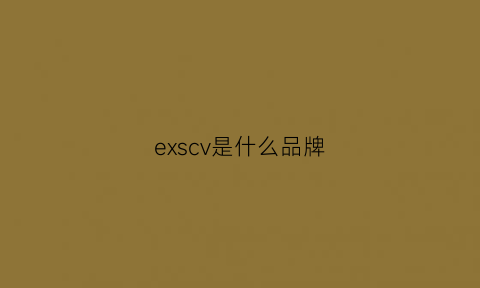 exscv是什么品牌(exrss是什么牌子)