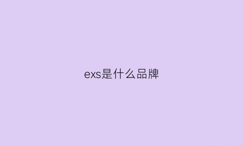 exs是什么品牌(exr是什么牌子)