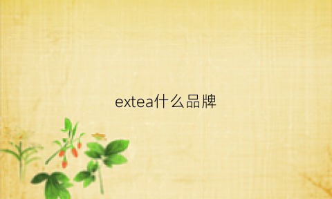 extea什么品牌