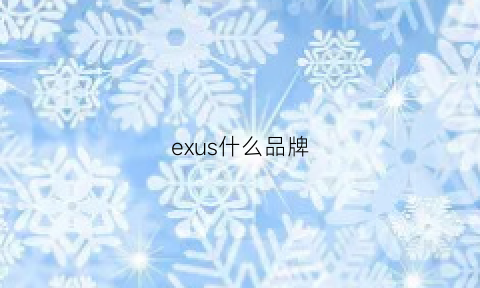 exus什么品牌(exideal是什么牌子)