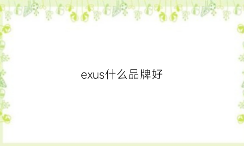 exus什么品牌好(exr品牌)