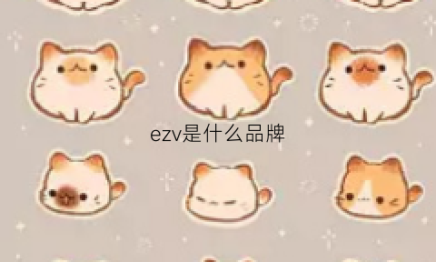 ezv是什么品牌