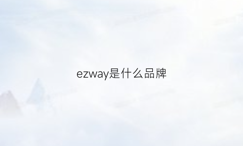 ezway是什么品牌(ezway是什么意思)