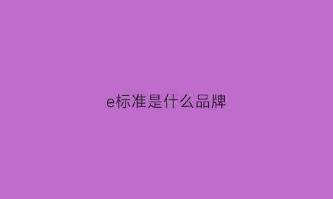 e标准是什么品牌(e标啥意思)