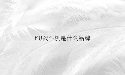 f18战斗机是什么品牌(f18f战斗机)