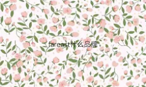 fareast什么品牌(farwide是什么牌子)