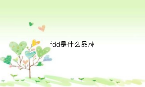 fdd是什么品牌(fd是什么牌子)