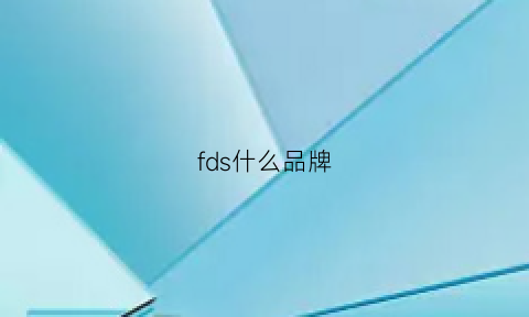 fds什么品牌