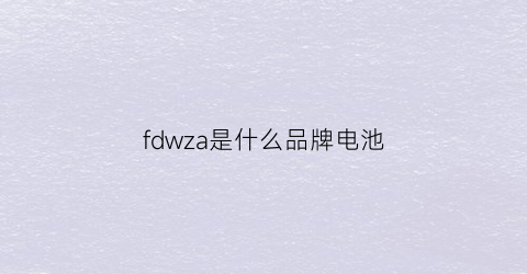fdwza是什么品牌电池(df是什么牌子电池)