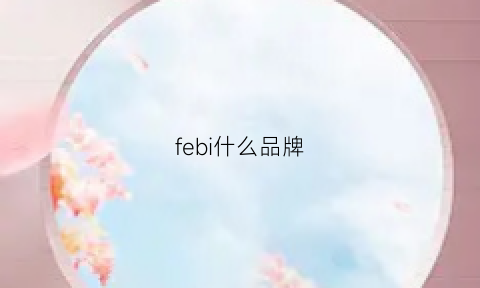 febi什么品牌(femfey是什么牌子)