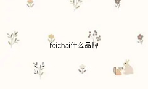 feichai什么品牌(feisou品牌)