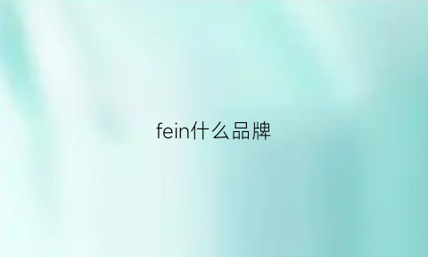 fein什么品牌