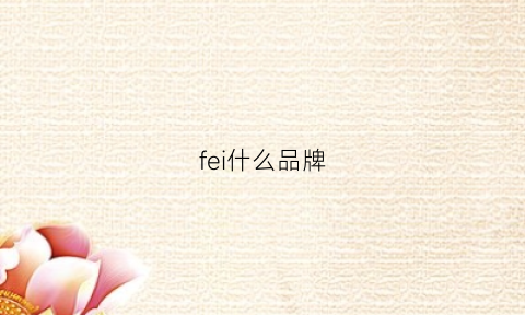 fei什么品牌(飞什么品牌衣服)