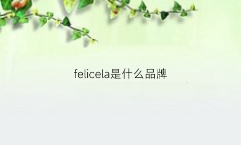 felicela是什么品牌(feilo是什么牌子)