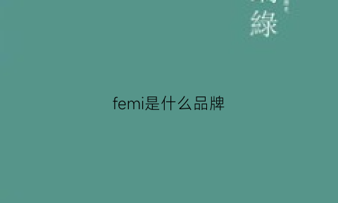 femi是什么品牌(feimi是什么品牌中文)