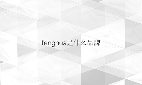 fenghua是什么品牌(风华是哪里的品牌)