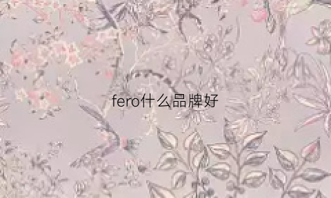 fero什么品牌好(fe什么牌子)