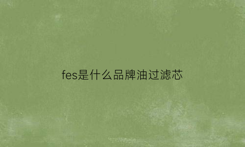 fes是什么品牌油过滤芯