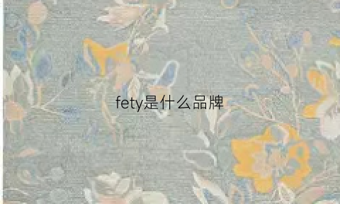 fety是什么品牌