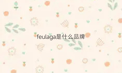 feulaga是什么品牌(fevlagawo是什么牌子)