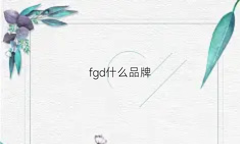 fgd什么品牌