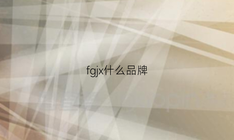 fgjx什么品牌(fj是哪个品牌缩写)