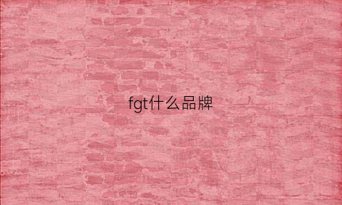 fgt什么品牌(fg是什么牌子多少钱)