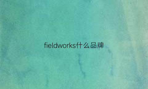 fieldworks什么品牌(fieldwork是什么意思)