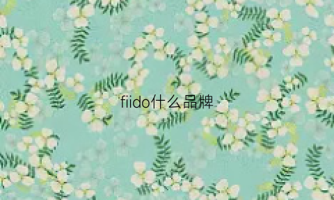 fiido什么品牌(fi什么牌子)