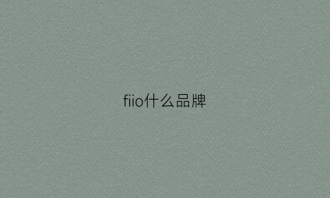 fiio什么品牌(fiorio品牌)