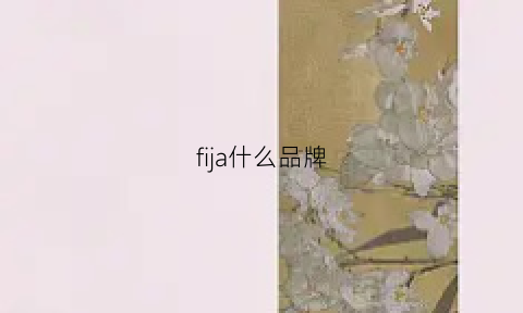 fija什么品牌(fifie什么牌子)