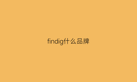 findig什么品牌(find包是什么档次)