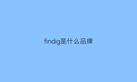 findig是什么品牌