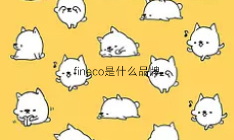 fineco是什么品牌