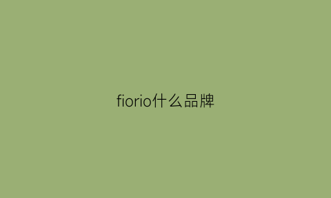 fiorio什么品牌(fiio是什么品牌)