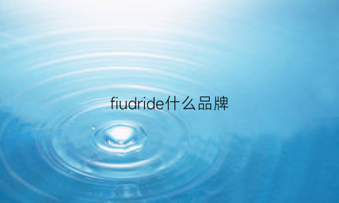 fiudride什么品牌(fidodido是什么牌子)