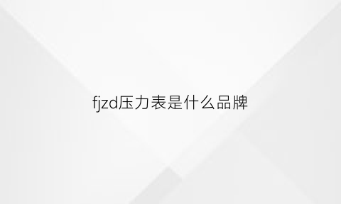 fjzd压力表是什么品牌(hfdy压力表品牌)