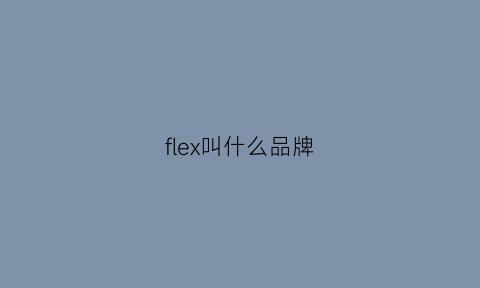 flex叫什么品牌(flexform是什么品牌)