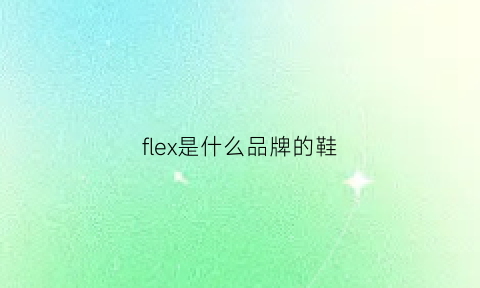 flex是什么品牌的鞋(FLEX是什么品牌的鞋)