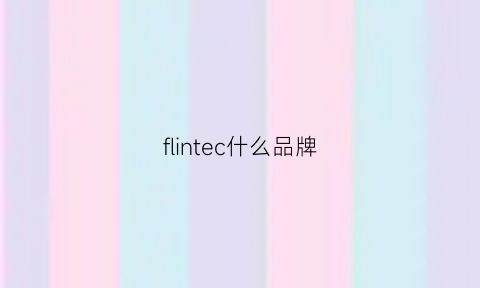 flintec什么品牌(flex是什么品牌)