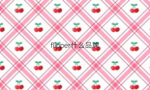 flipper什么品牌