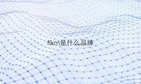 flkm是什么品牌(fnkm是什么品牌)