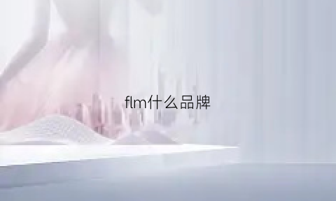 flm什么品牌(fl什么牌子)