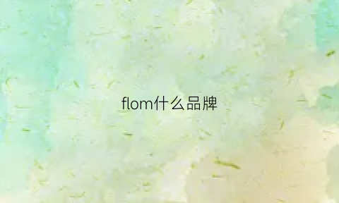 flom什么品牌(folomov是什么牌子)