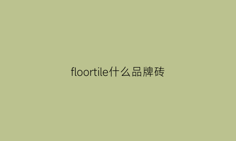 floortile什么品牌砖(lord是什么瓷砖品牌)