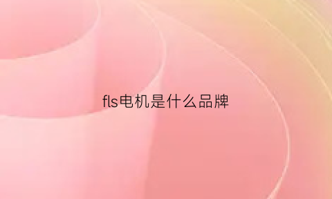 fls电机是什么品牌(fir电机)