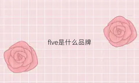 flve是什么品牌(flavor是什么牌子)