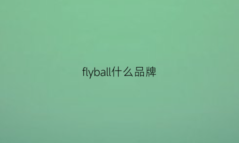 flyball什么品牌(fly鞋是哪国的品牌)