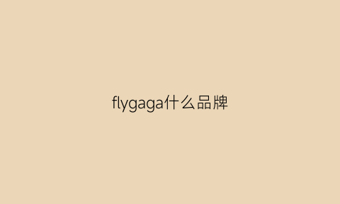 flygaga什么品牌(flying品牌)